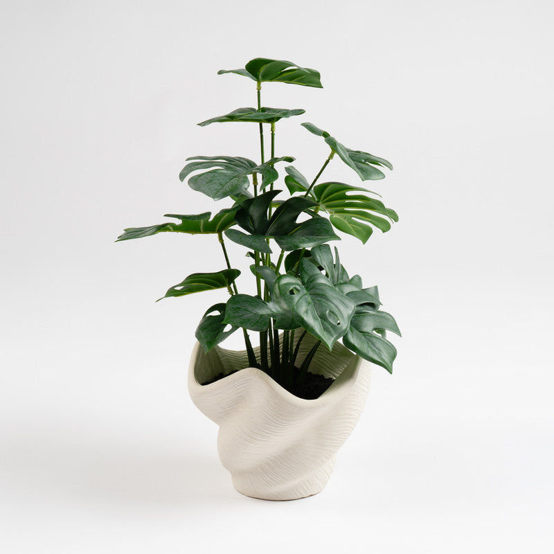 45cm Artificial Variegated Monstera in Cement Shell Pot